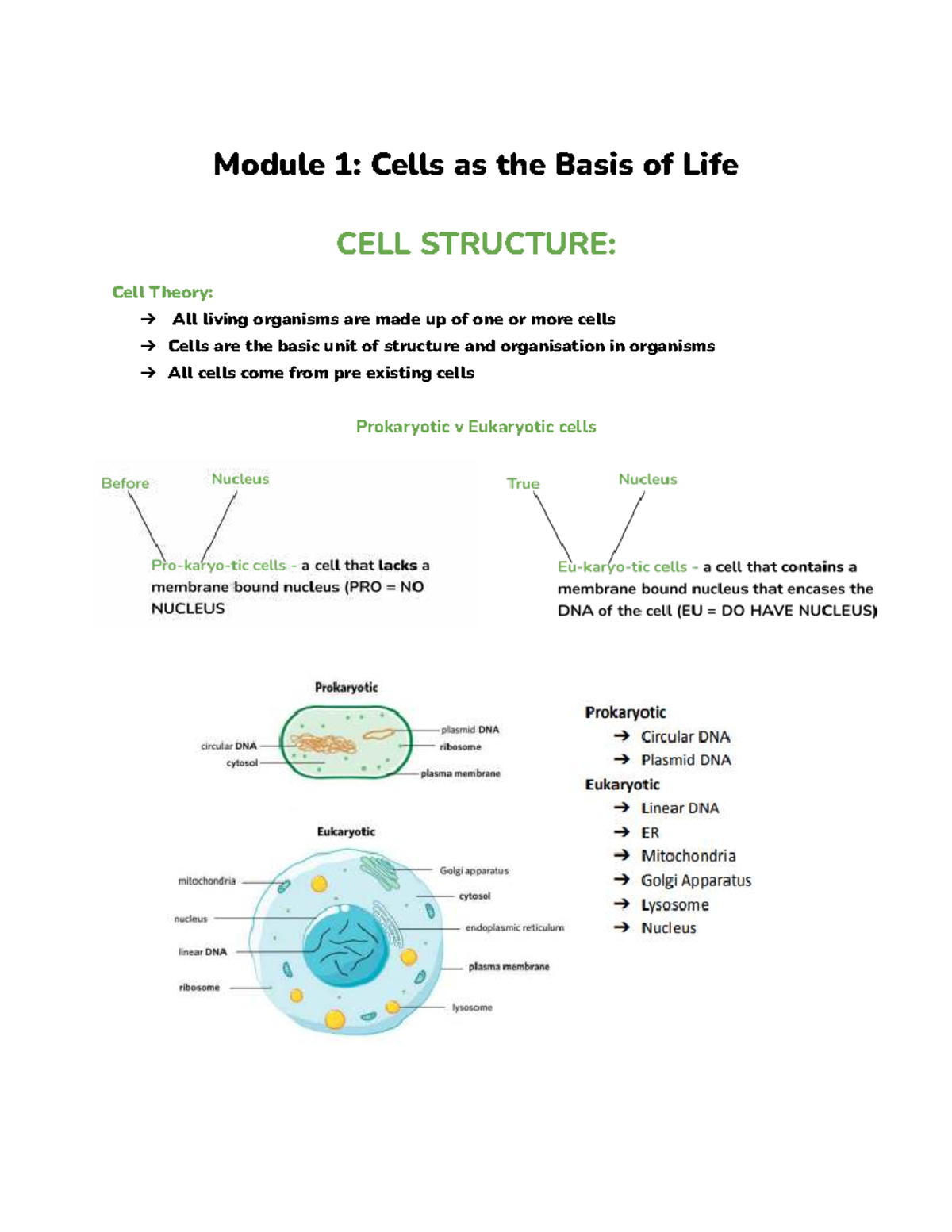 Biology 101: Module 1 - Cells as the Basis of Life Notes - Studocu