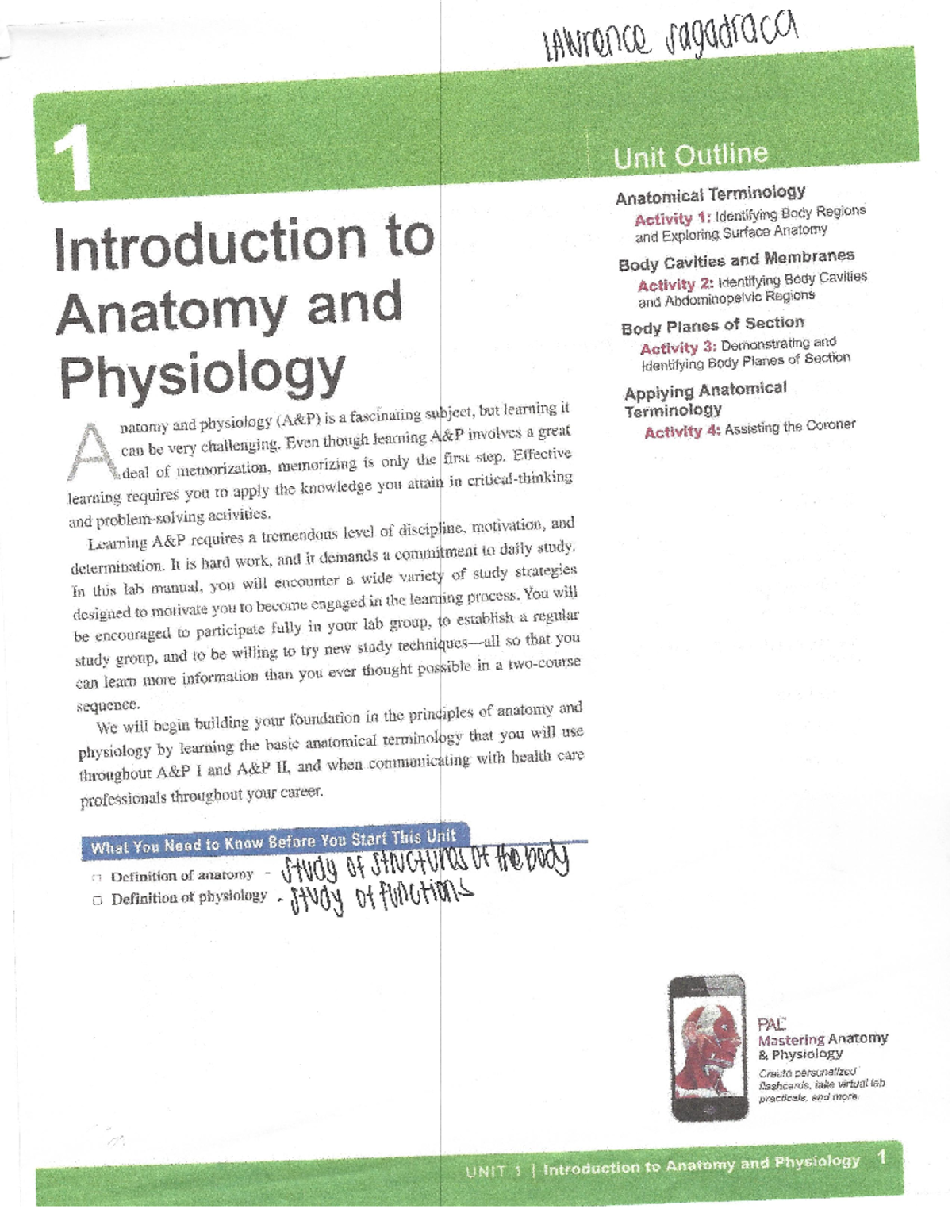 Anatomy & Physiology Lab 1: Body Regions and Terminology Guide - Studocu