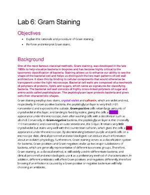 Gram Staining - Study Notes & Assignments - Studocu