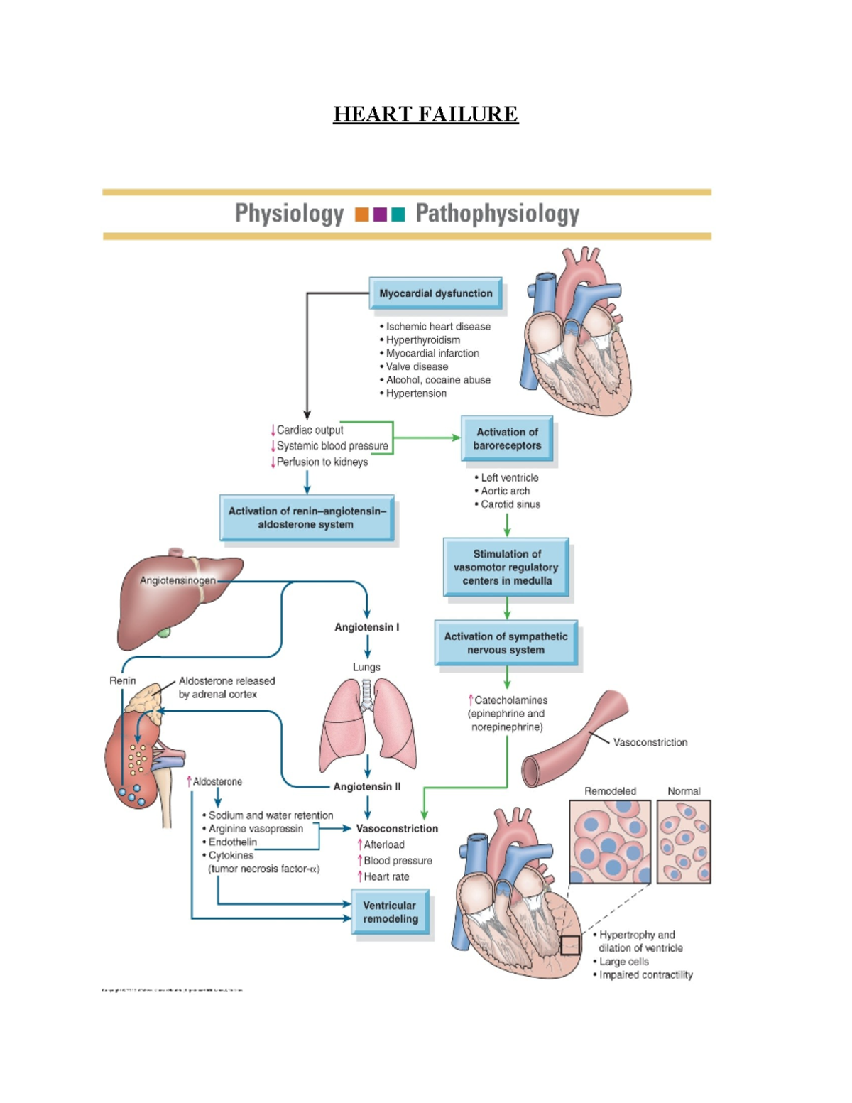 HEART FAILURE: Overview & Treatment Strategies (Physiology ...