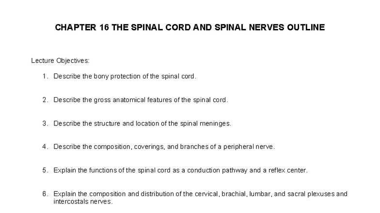 CH16: The Spinal Cord & Spinal Nerves - Lecture Outline - Studocu