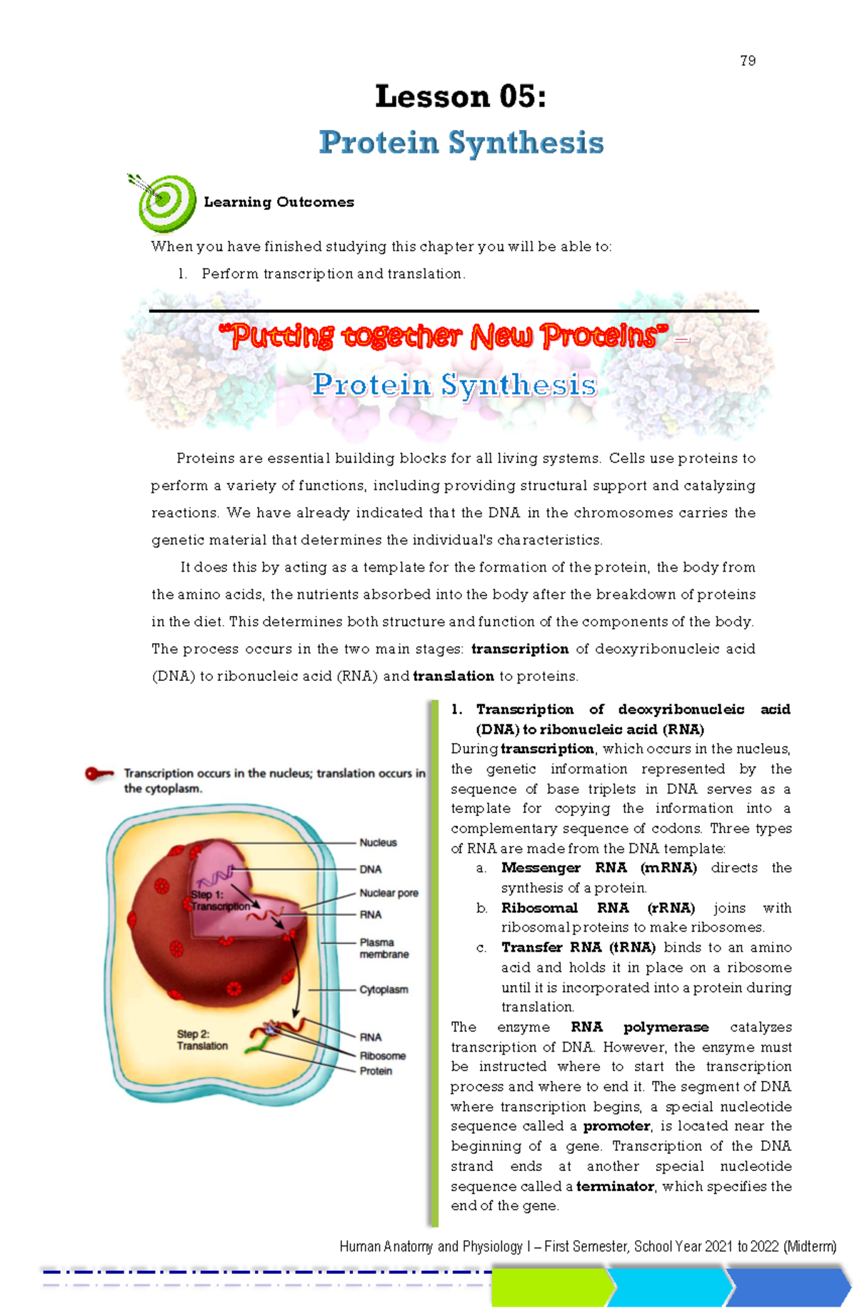 Cellular Level Module Lesson 5 - Learning Outcomes When you have ...
