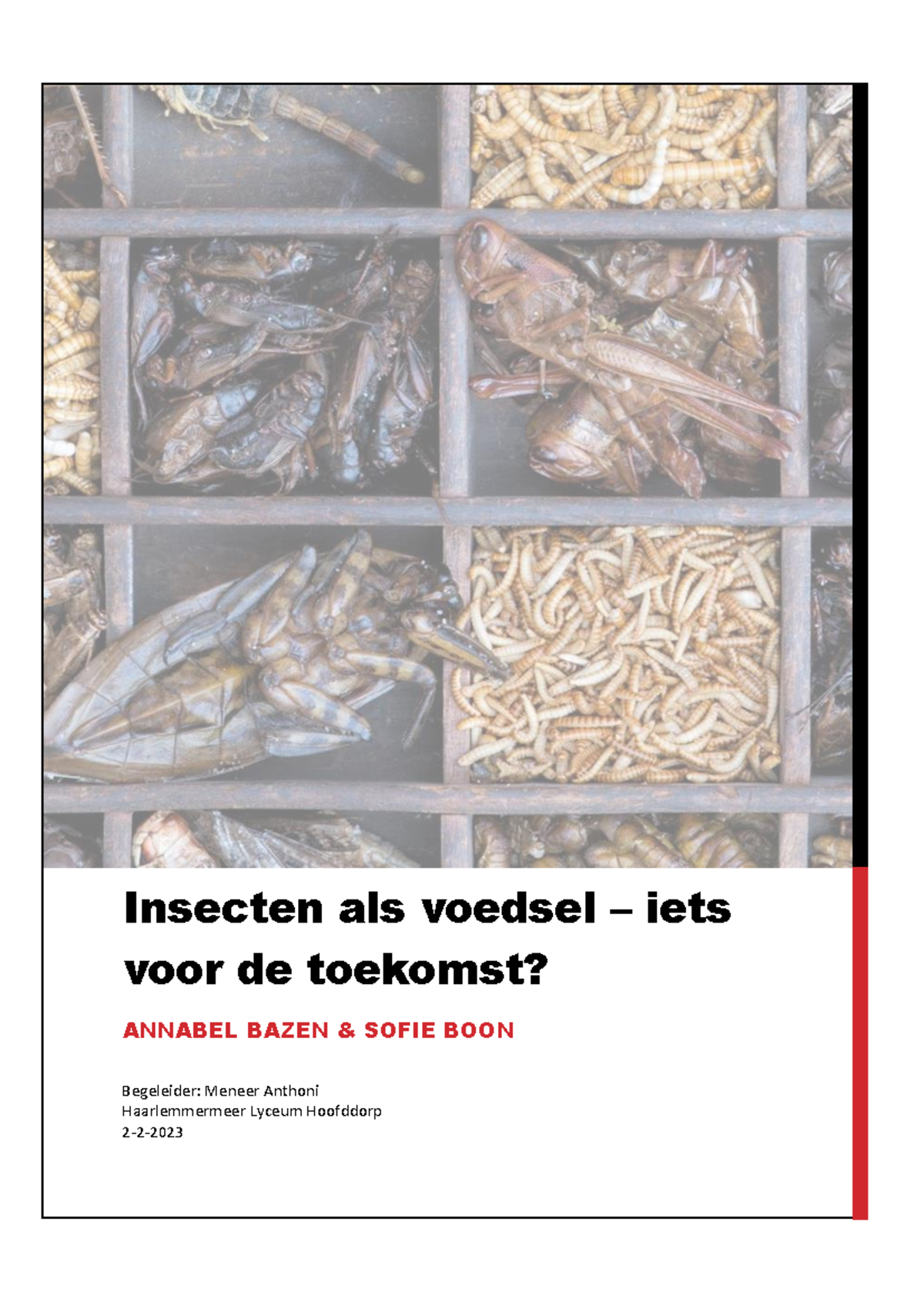 Profielwerkstuk Insecten als Voedsel: Voor- en Nadelen voor Toekomst ...