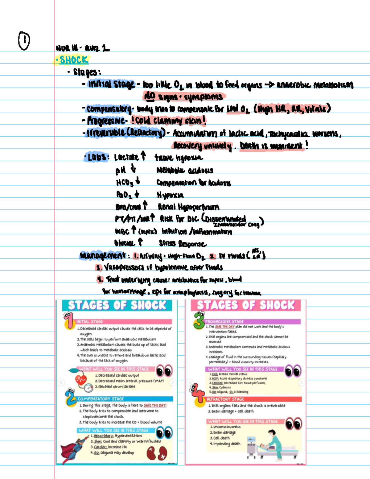 QUIZ 1: Shock Stages and Management Notes - Studocu