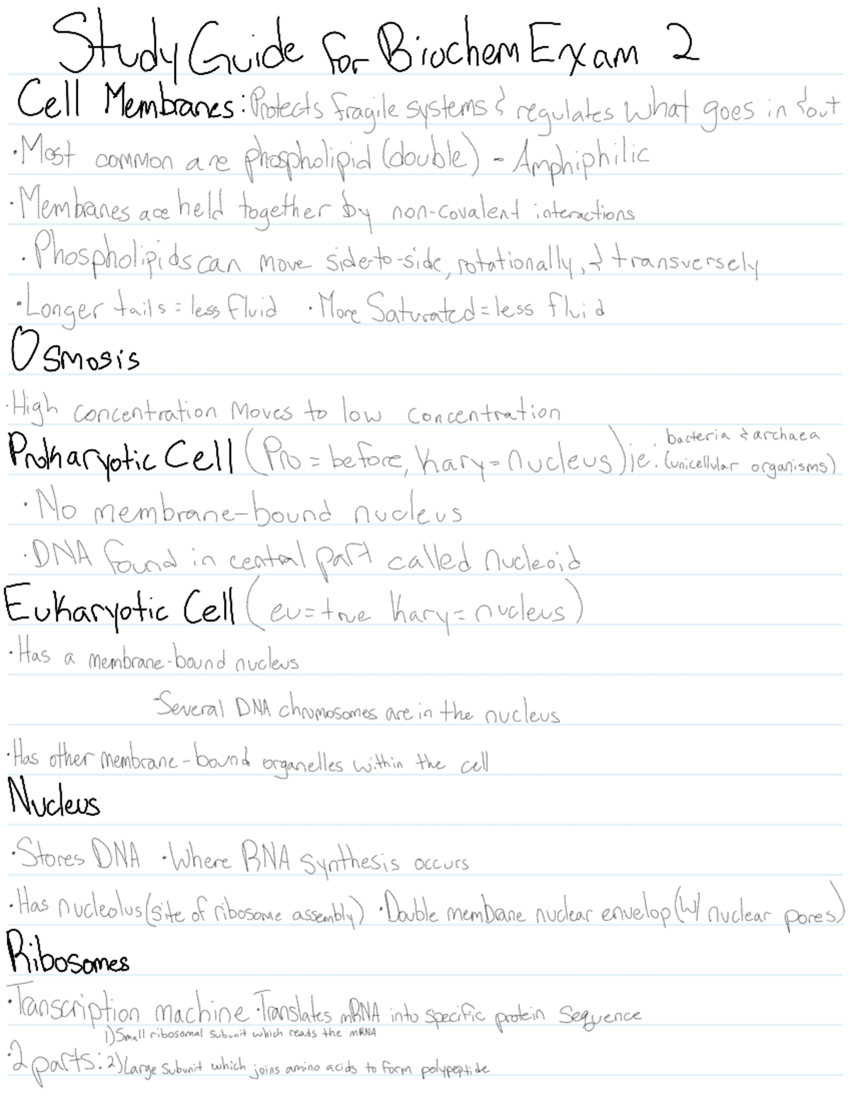 Biochem 202 Exam 2 Comprehensive Study Guide - Studocu