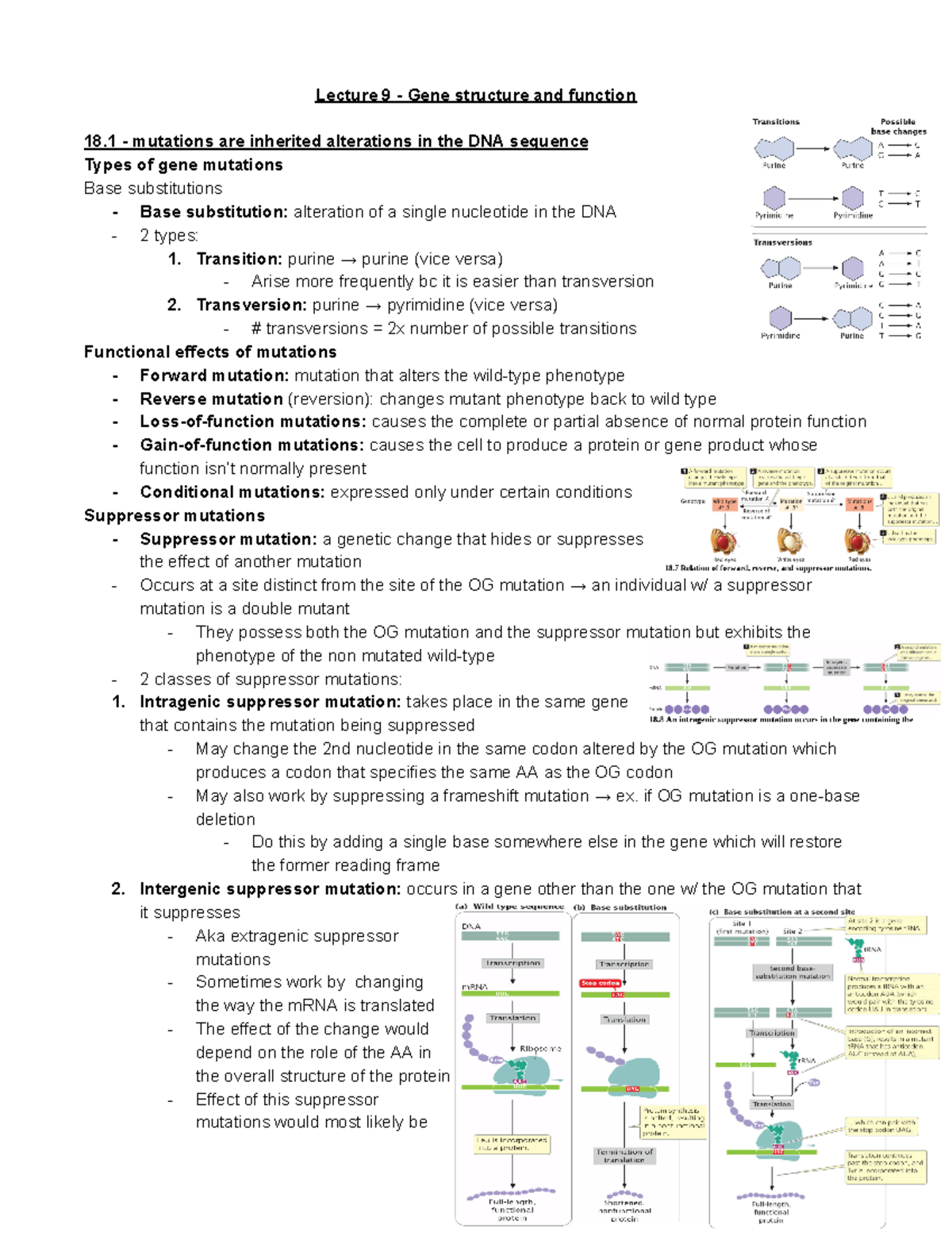 Lecture 9 - Gene Structure, Function & Mutation Overview - Studocu
