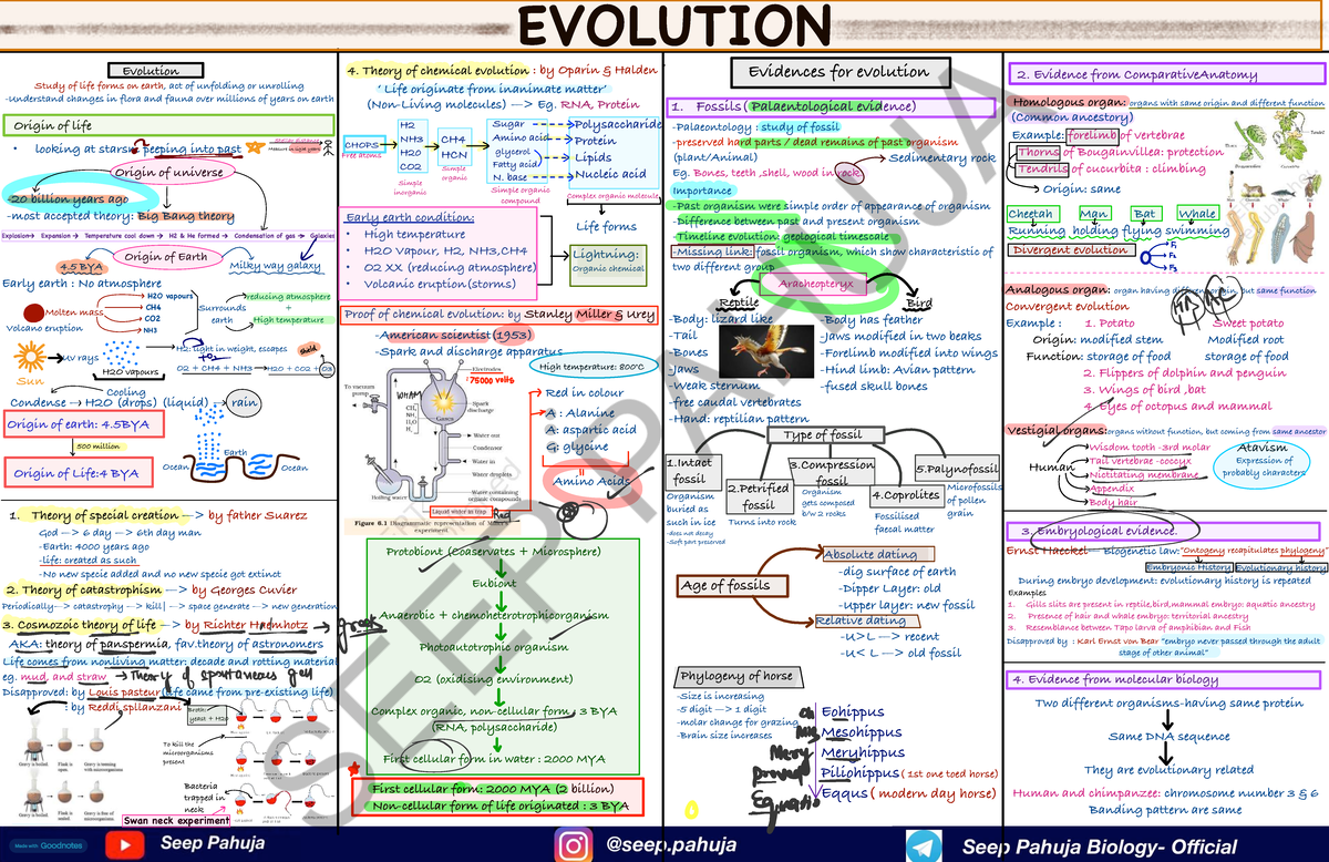 EVOLUTION I F 4. Cheat Sheet on Chemical Evolution Theories - Studocu