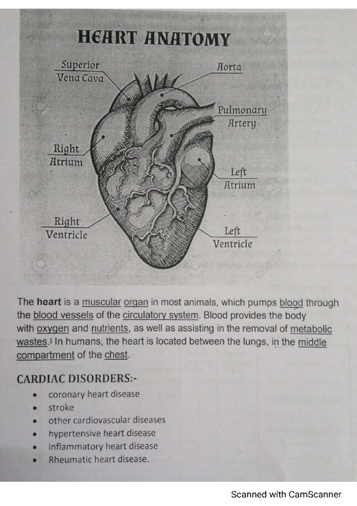 Cardiac Function Test Overview and Guidelines - Studocu