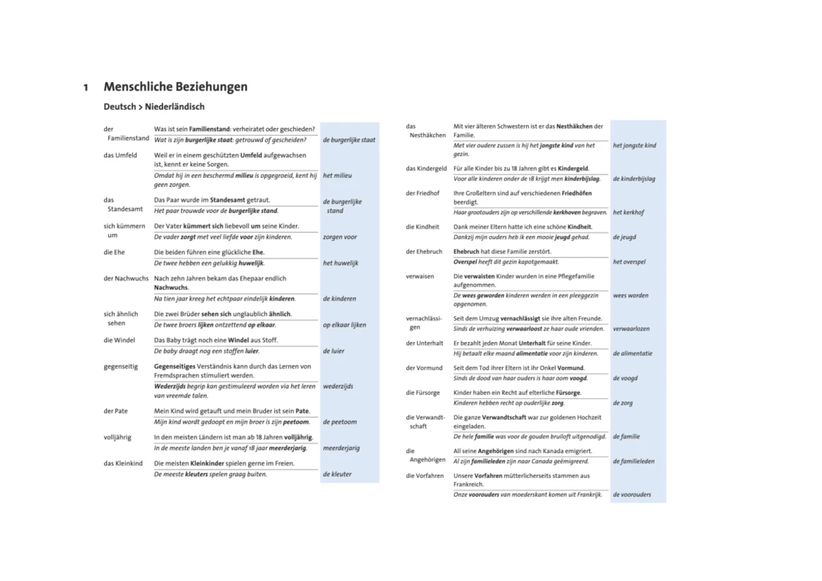 Arbeitsblatt Naamvallen Oefenzinnen (1e-3e-4e Naamval) - Studeersnel