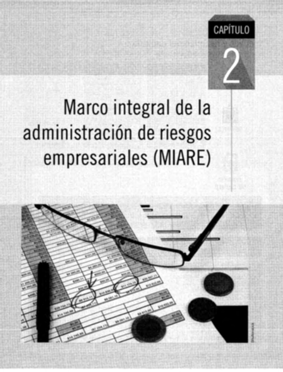 Marco Integral de la Administración de Riesgos Empresariales (MIARE ...