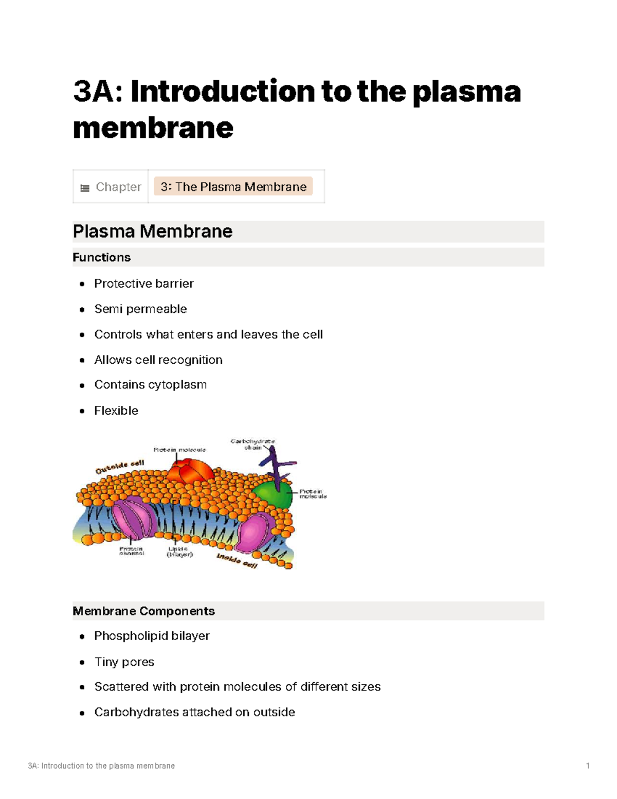 VCE Biology 3A: Chapter 3 - The Plasma Membrane Overview - Studocu