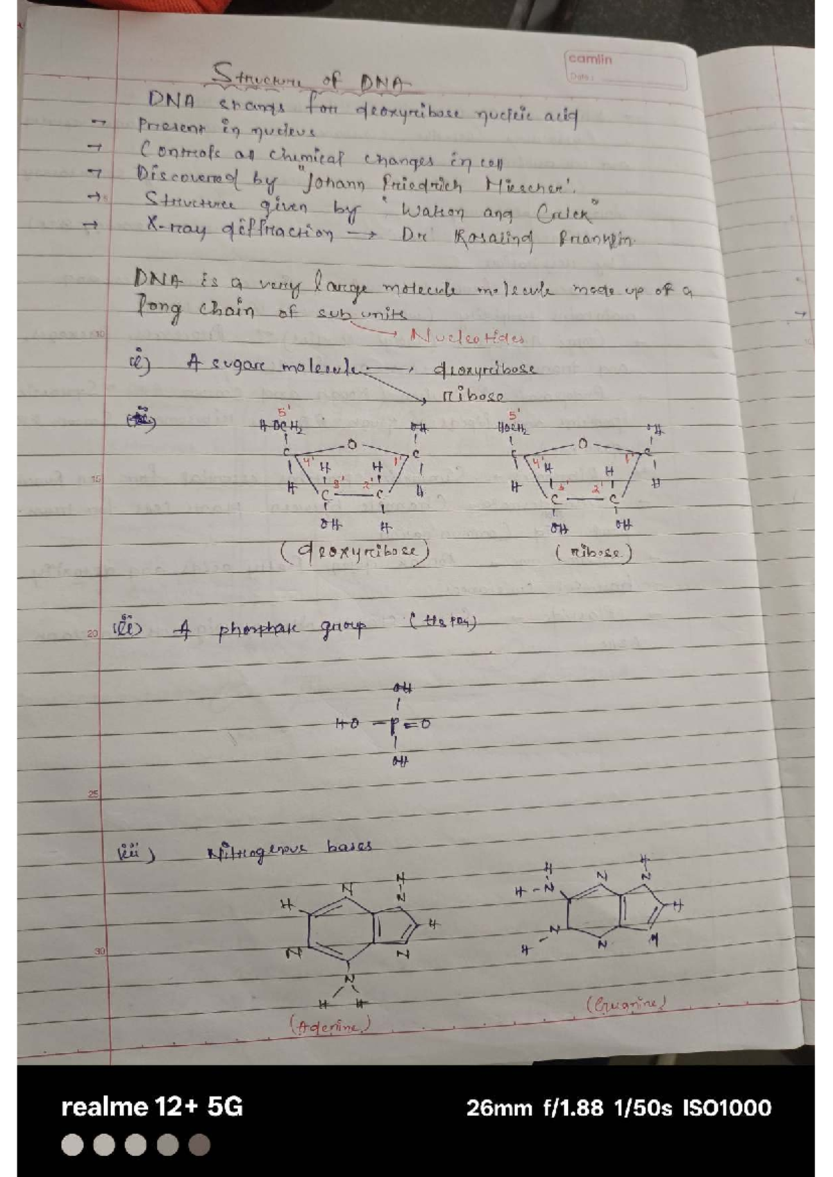 BSC Genetics - Structure of DNA Notes for 2nd Year Students - Studocu