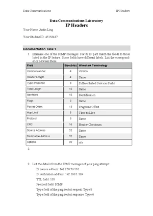 Practical - IP Headers - Documentation Template - Data Communications ...