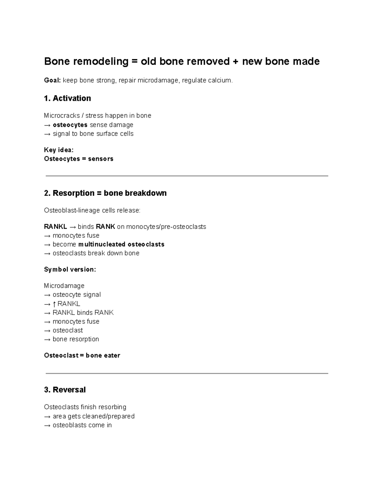 Bone Remodeling - Key Concepts and Processes - Studocu