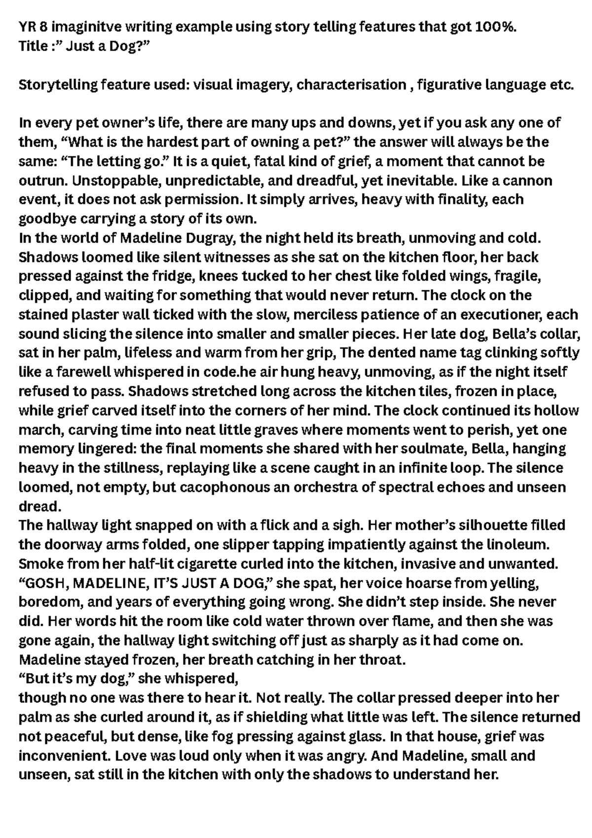 YR8 Imaginative Writing Example: Exploring Grief Through Storytelling ...