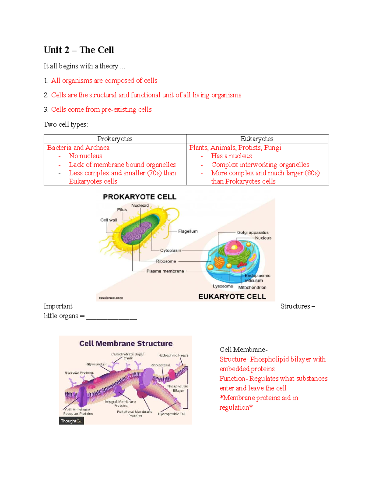 AP Bio Unit 2 - Comprehensive Notes on The Cell - Studocu
