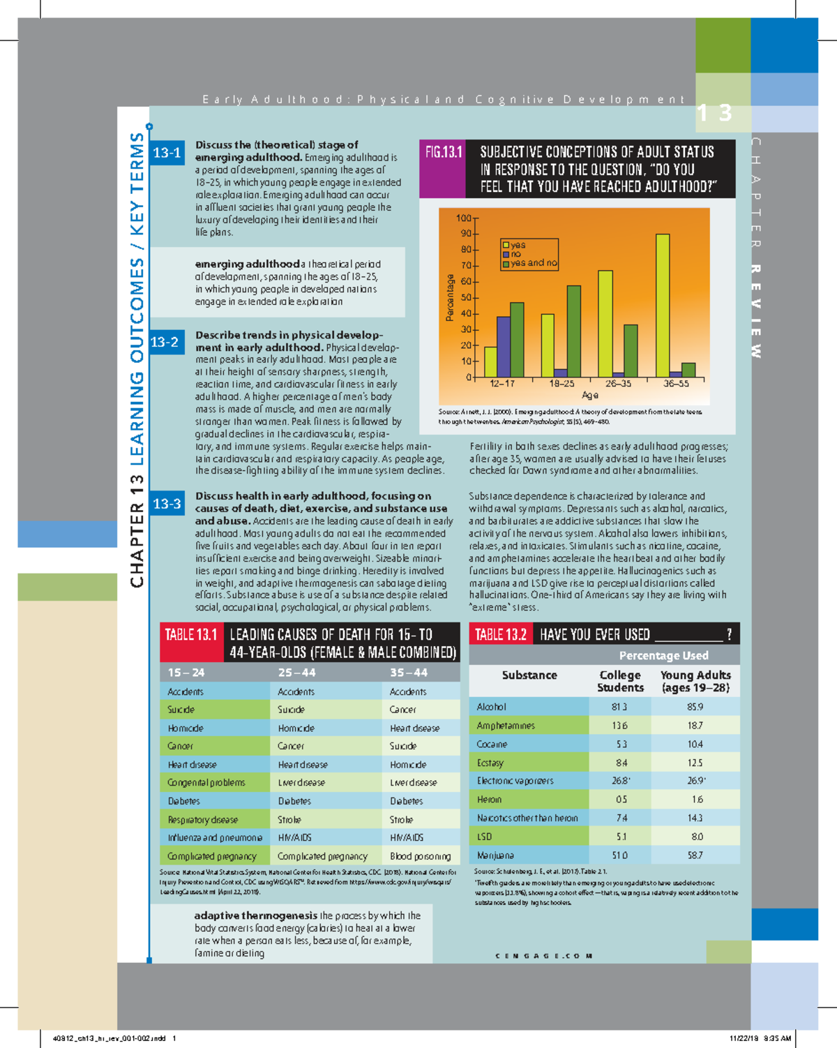 Chapter 13 Review: Emerging Adulthood Development Insights - Studocu
