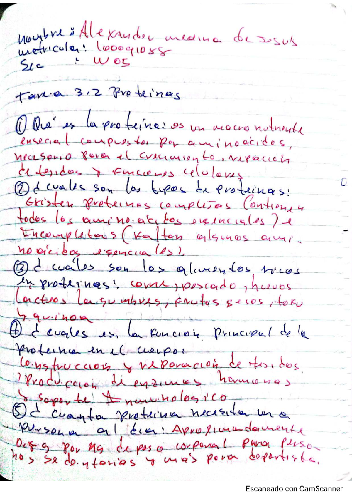 Tarea 3.2 proteínas - northre Alexander under de sous metricular: Sec ...