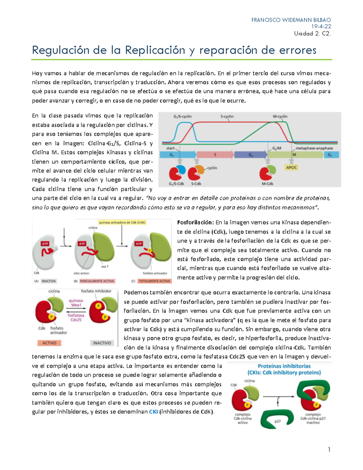 U2-C1 Mecanismos de Regulación en Replicación y Reparación de Errores ...