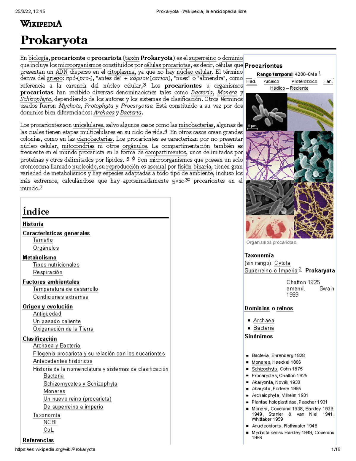 Prokaryota: Características, Clasificación y Evolución de los Procariotas -  Studocu