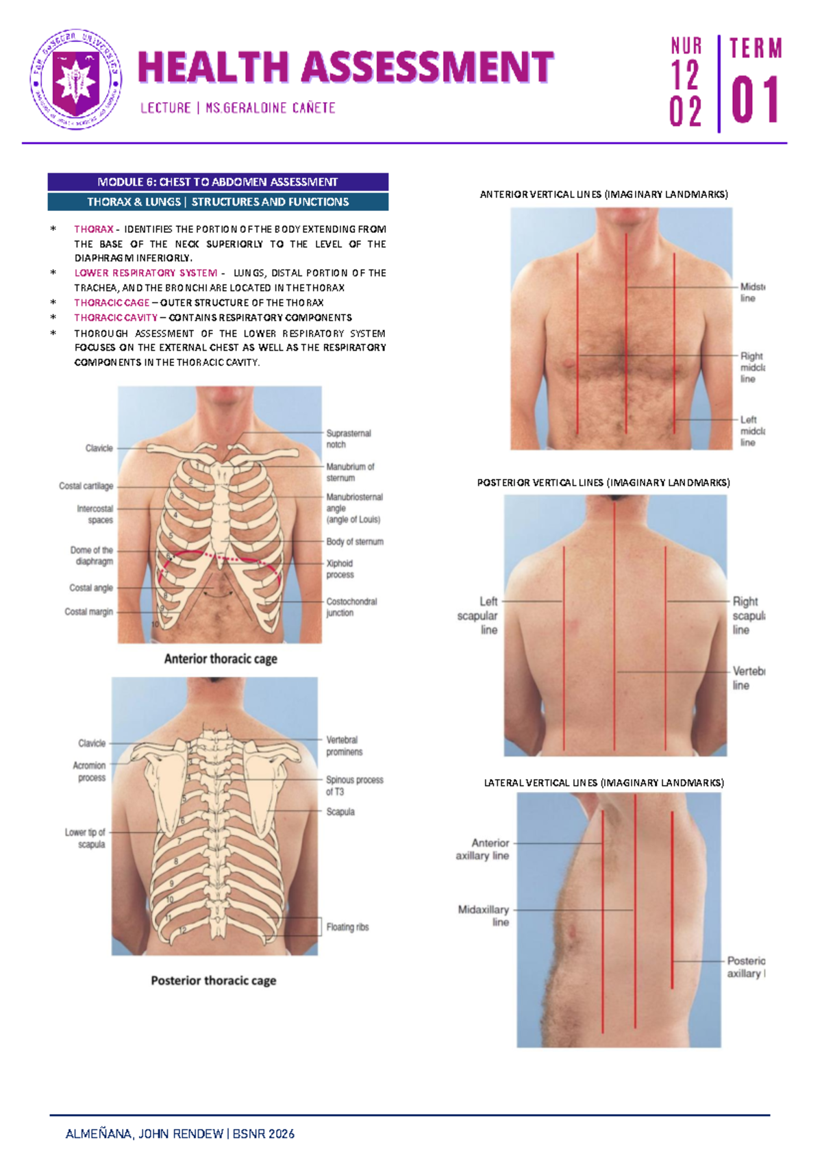 Module 6: Chest to Abdomen Assessment - Thorax and Lungs Overview (BSNR ...