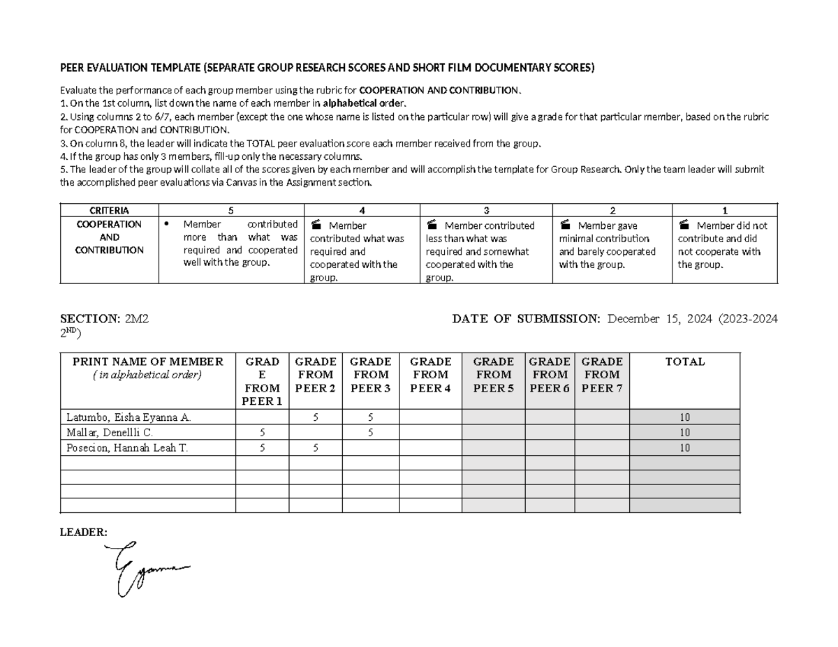 PEER Evaluation Template - PEER EVALUATION TEMPLATE (SEPARATE GROUP ...