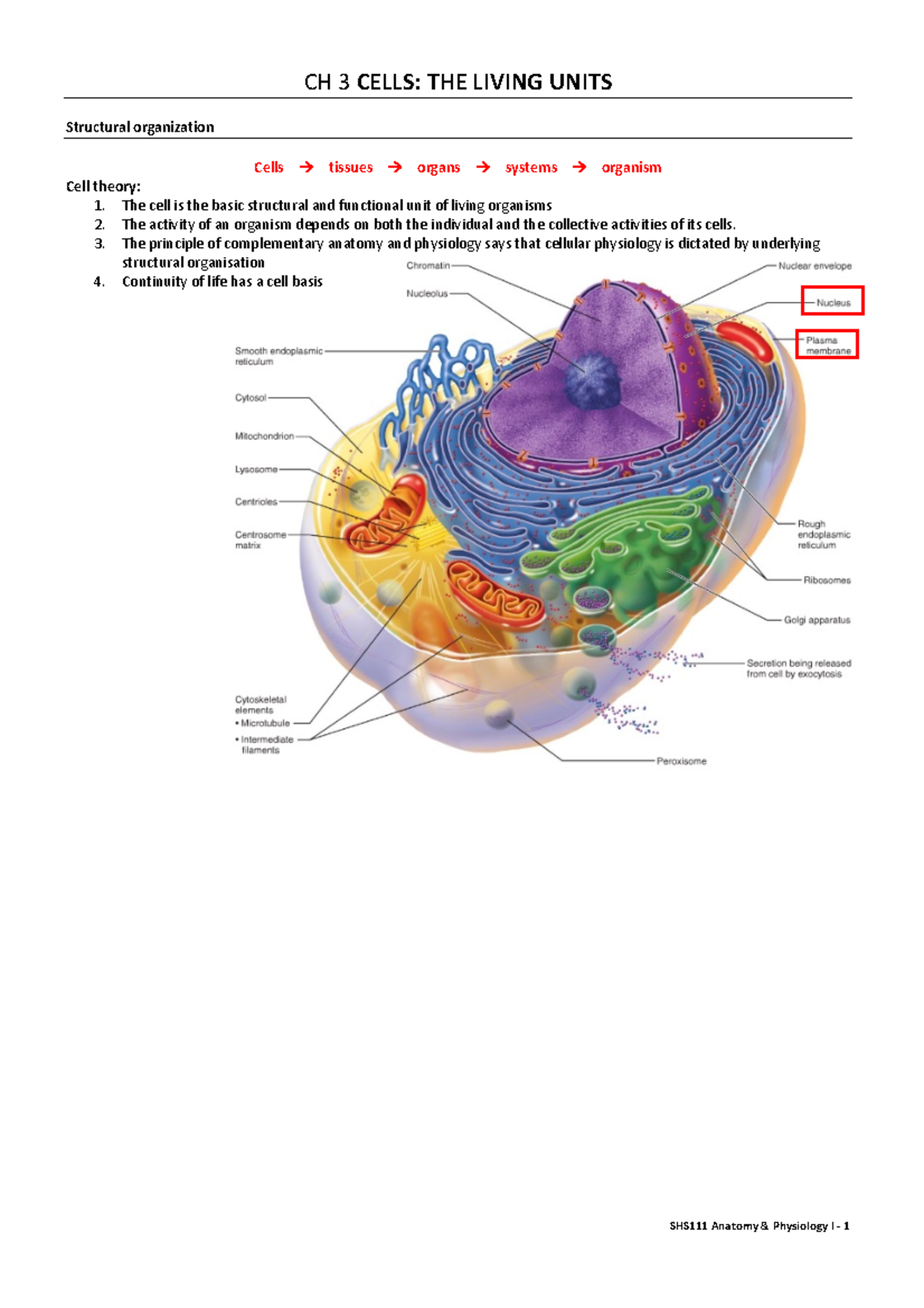 Cells: The Living Units - Summary of Chapter 3 (BIO101) - Studocu