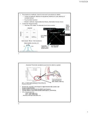 Muscle Physiology Overview: Skeletal Muscle Contraction Mechanisms and ...