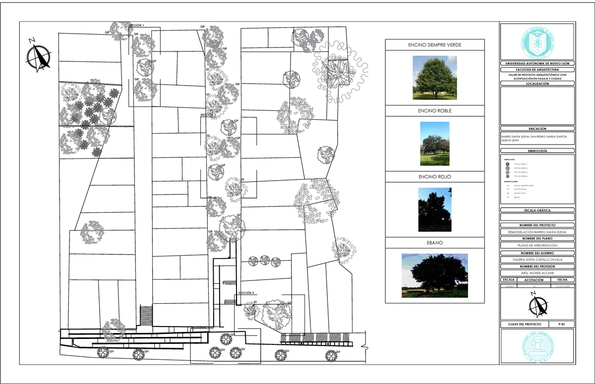 TFAC2 - PLANO DE REMODELACIÓN EN BARRIO SANTA ELENA - Studocu