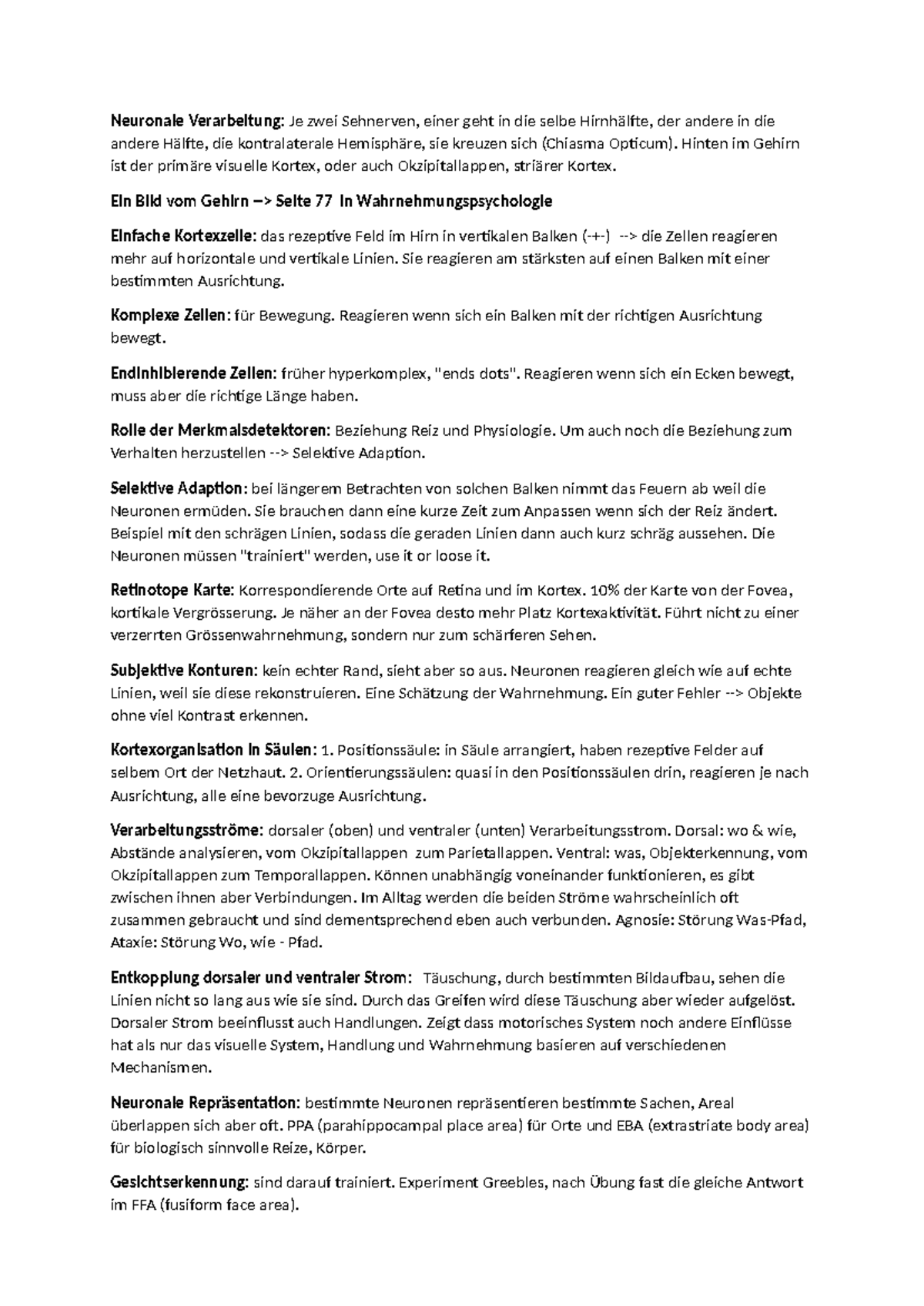 Der visuelle Kortex: Neuronale Verarbeitung und Merkmalsdetektoren ...