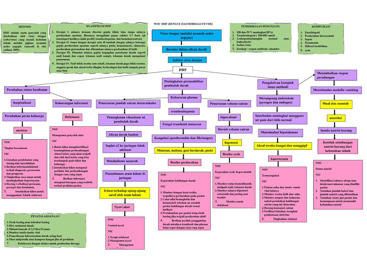 Final Exam WOC DHF (Dengue Hemorrhagic Fever) Management Notes - Studocu