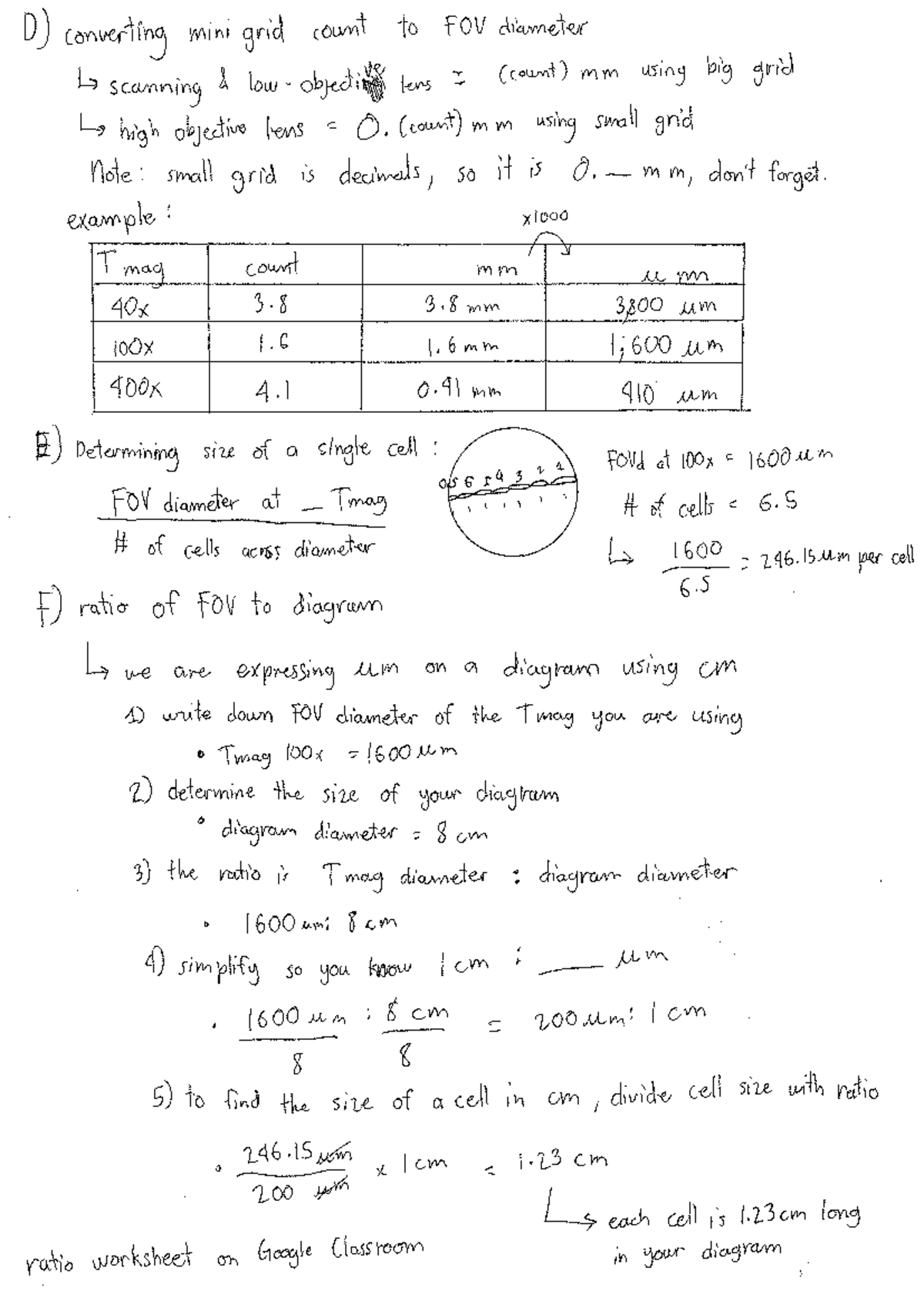 Year 11 Microscopy Calculations Guide - Studocu