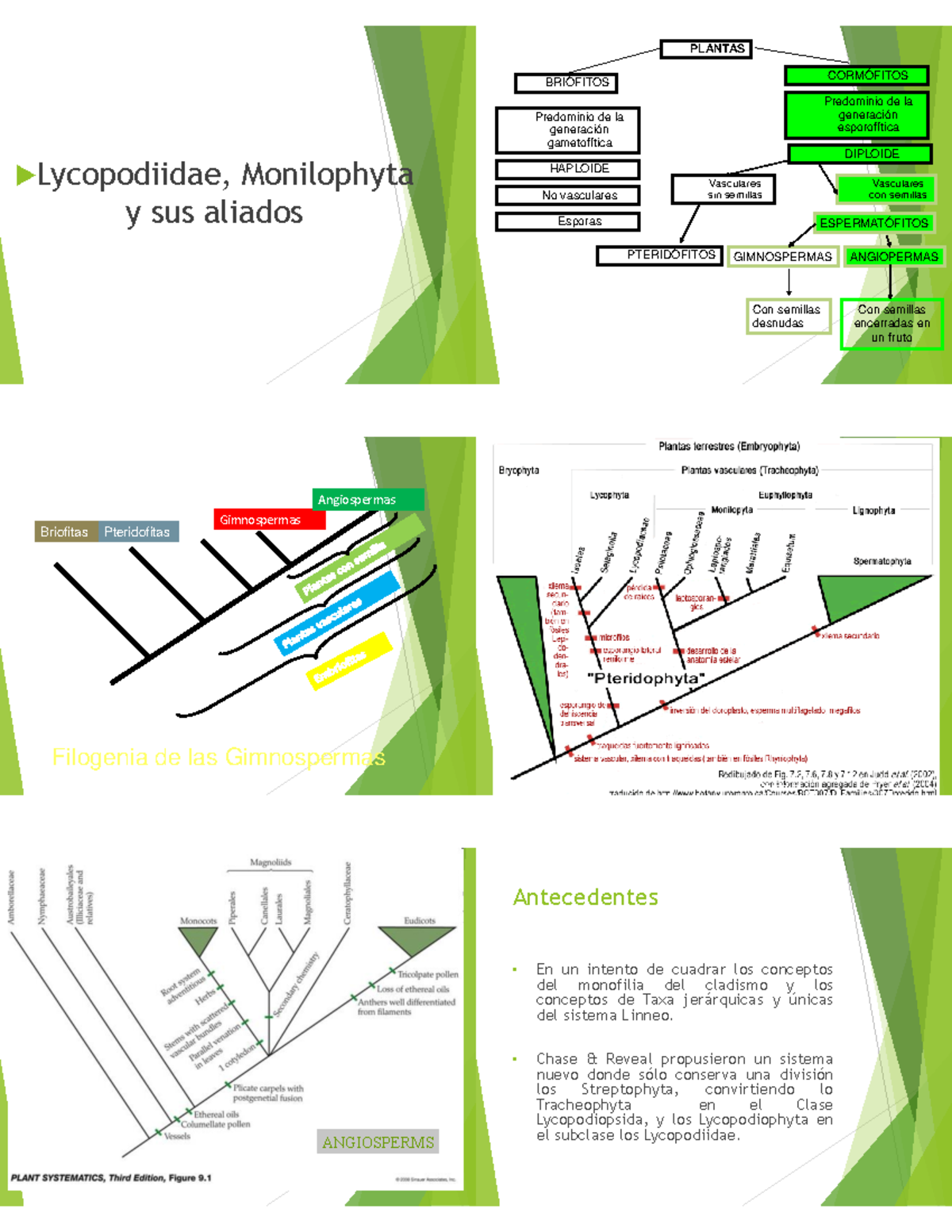 Lycopodiidae y Monilophyta: Clasificación y Evolución de Helechos - Document Preview