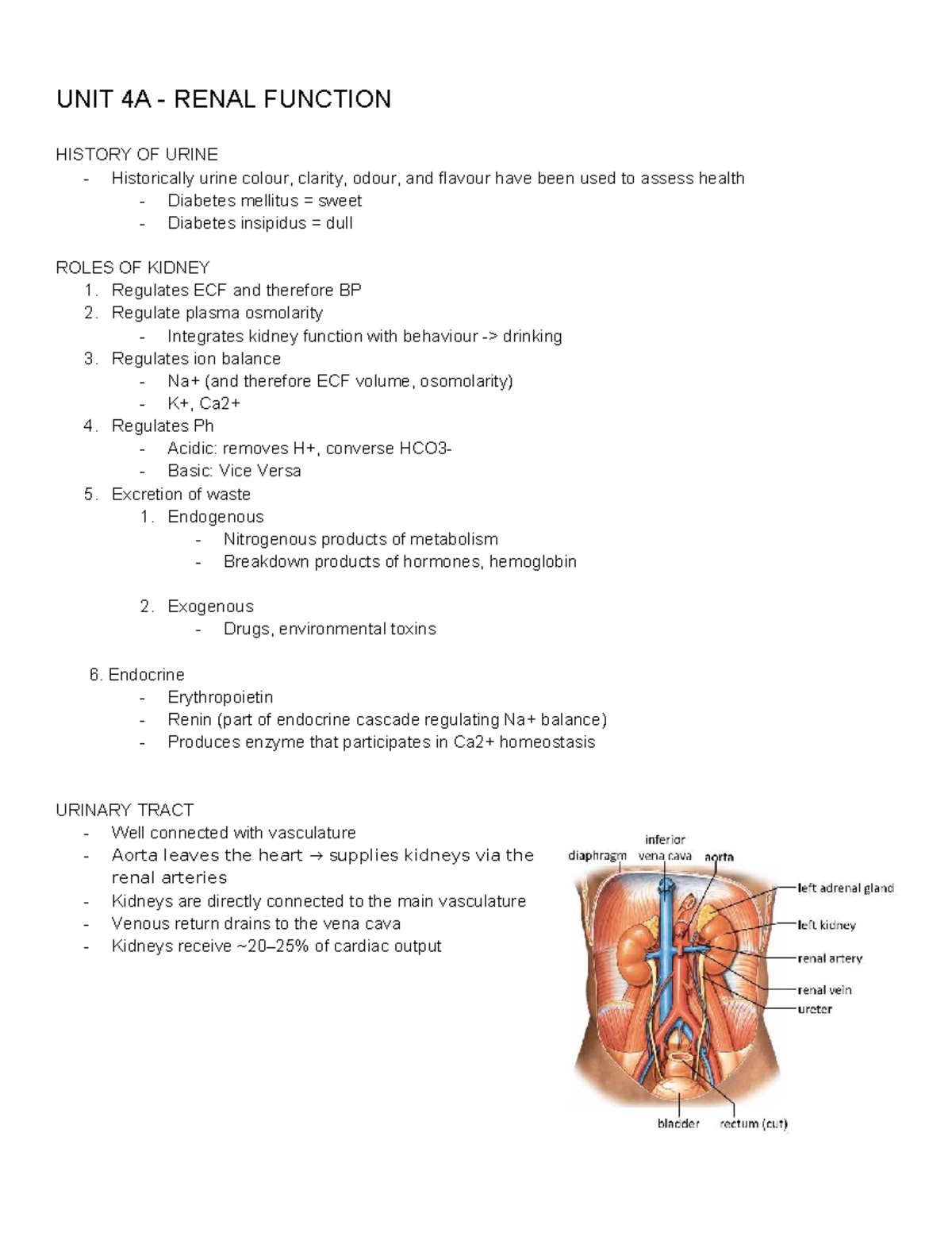 BIO 373 - Midterm 2: Renal Function and Urinary System Overview - Studocu