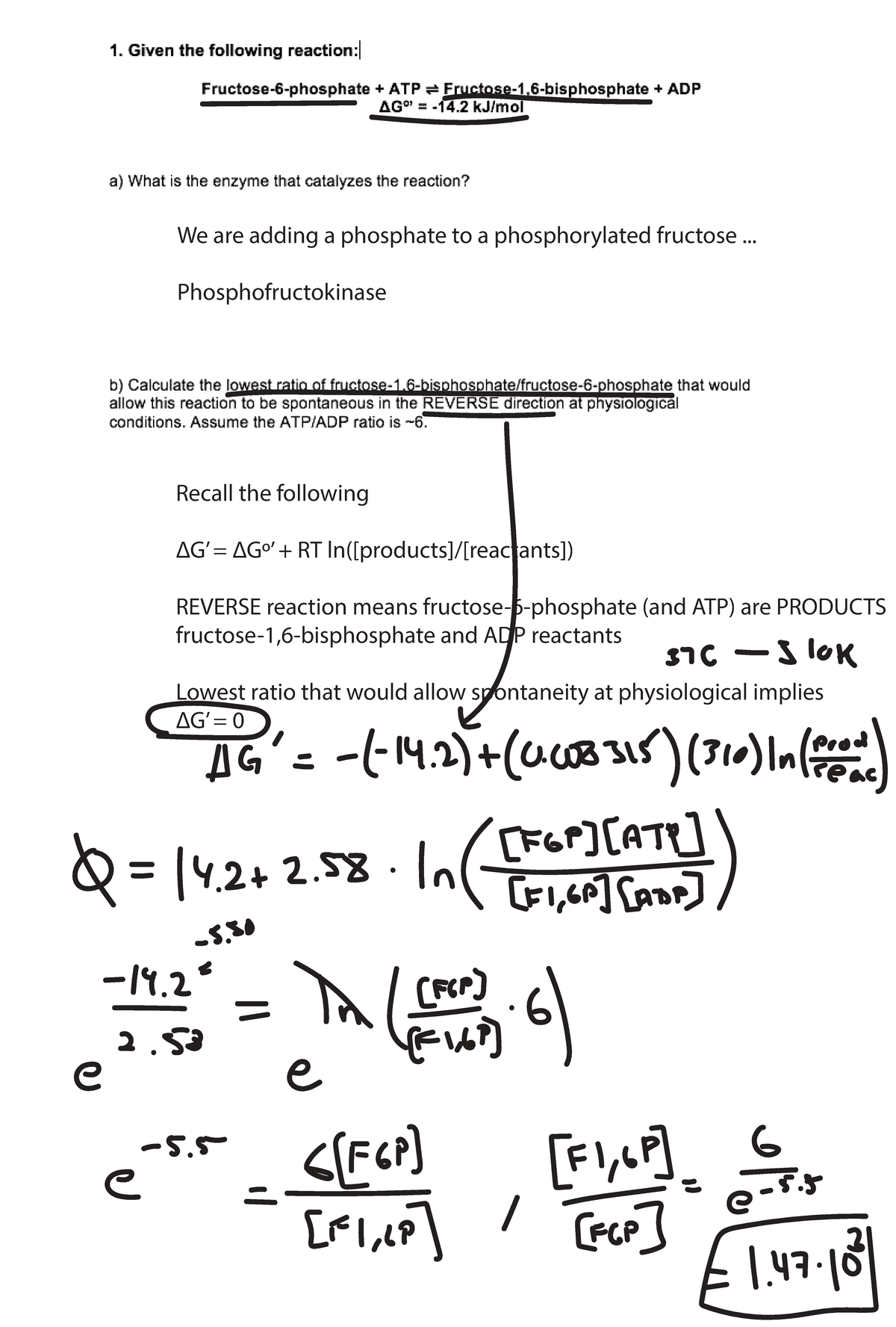Tutorial 6: Phosphorylation and Glycolysis Problem Set Solutions - Studocu