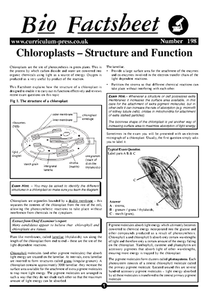 Unit 5 Revision Guide - Btec applied science - Unit 5 Had a look Nearly ...
