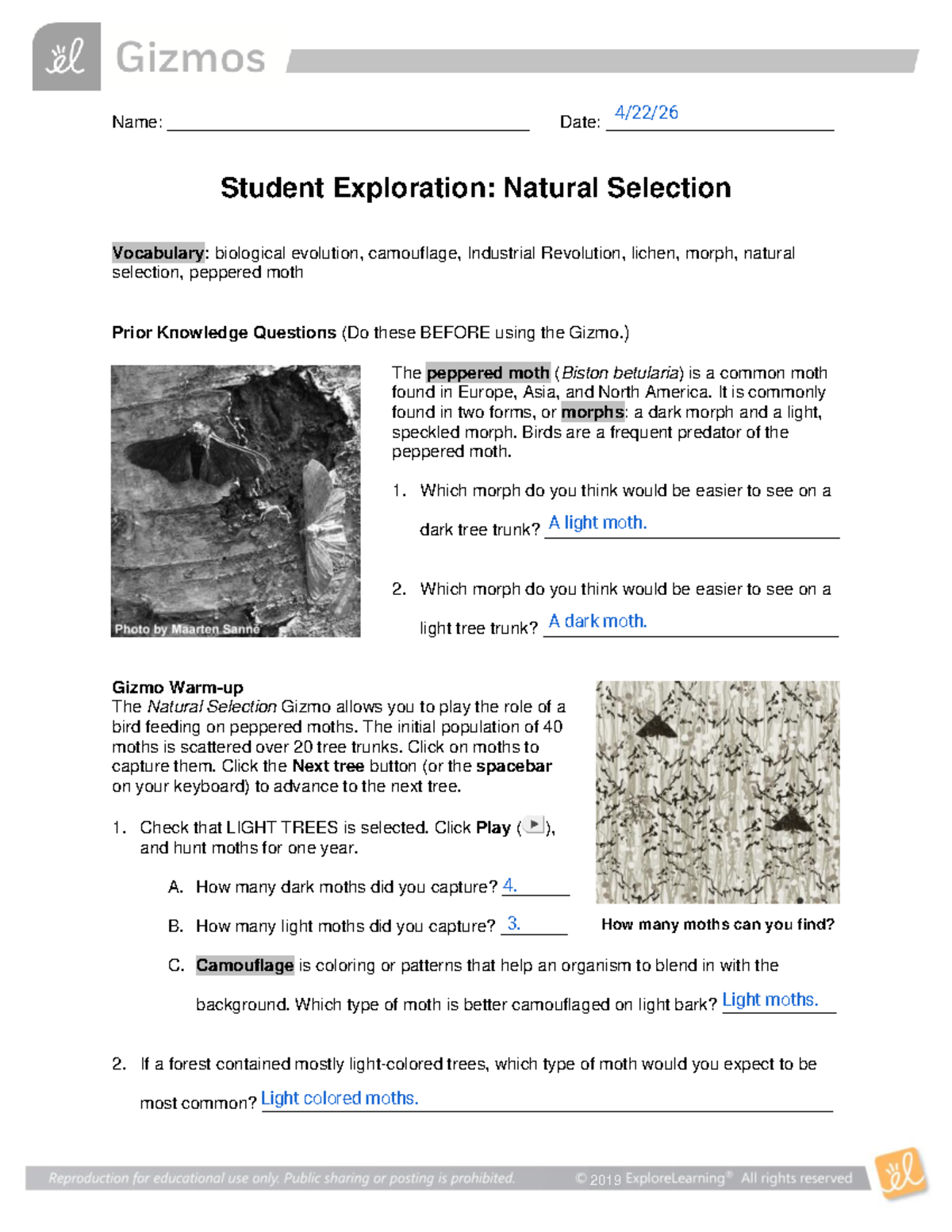 Natural Selection Gizmo Exploration: Moths & Evolution (BIO 101) - Studocu