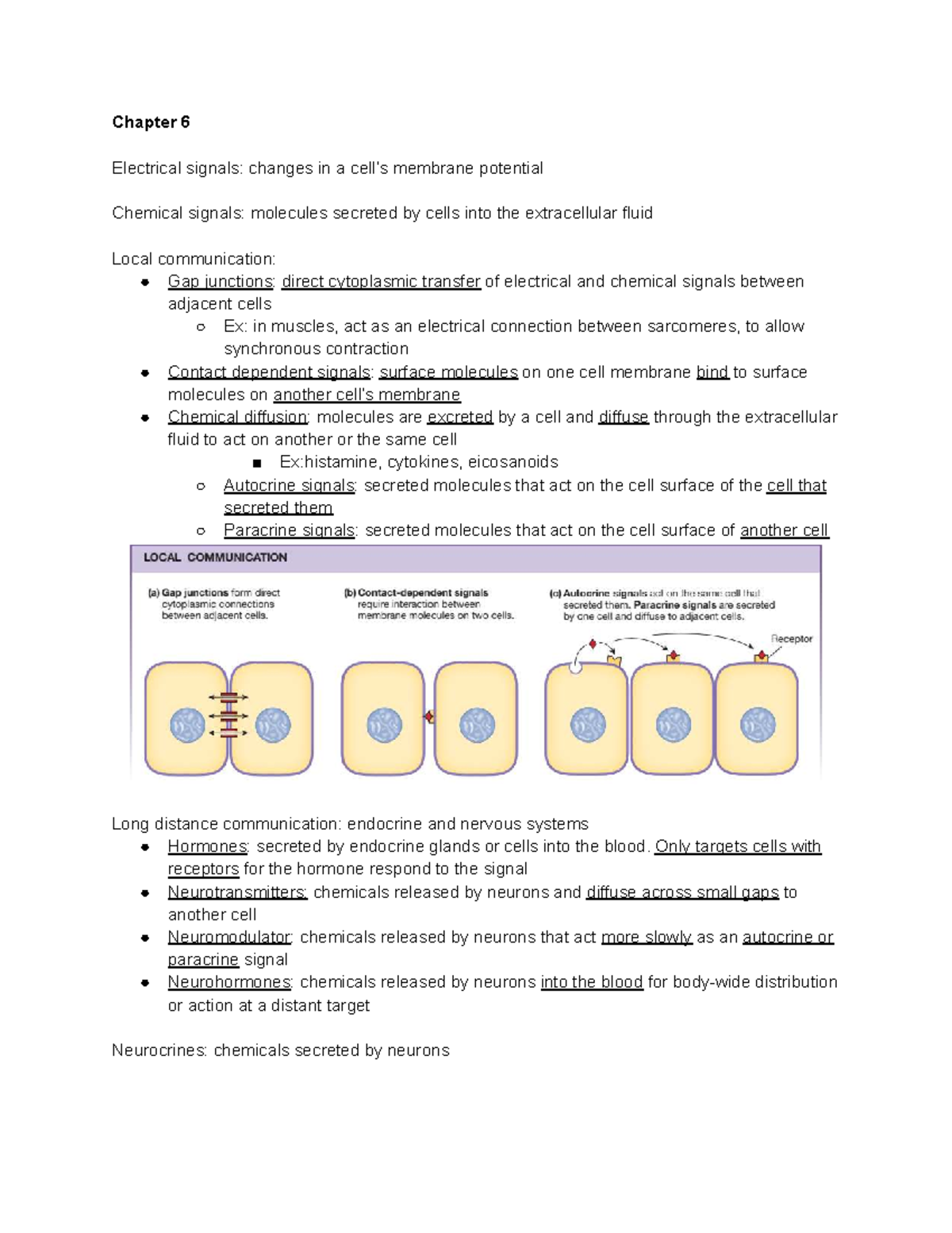 Chapter 6 & 8: Electrical & Chemical Signals in Kin 101 Midterm 2 - Studocu