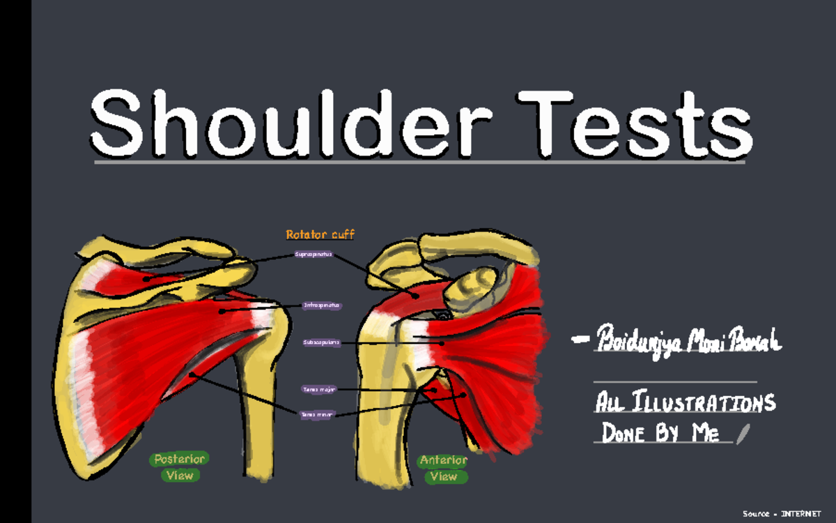 Shoulder Tests: Impingement & Muscle Pathology Assessments - Studocu