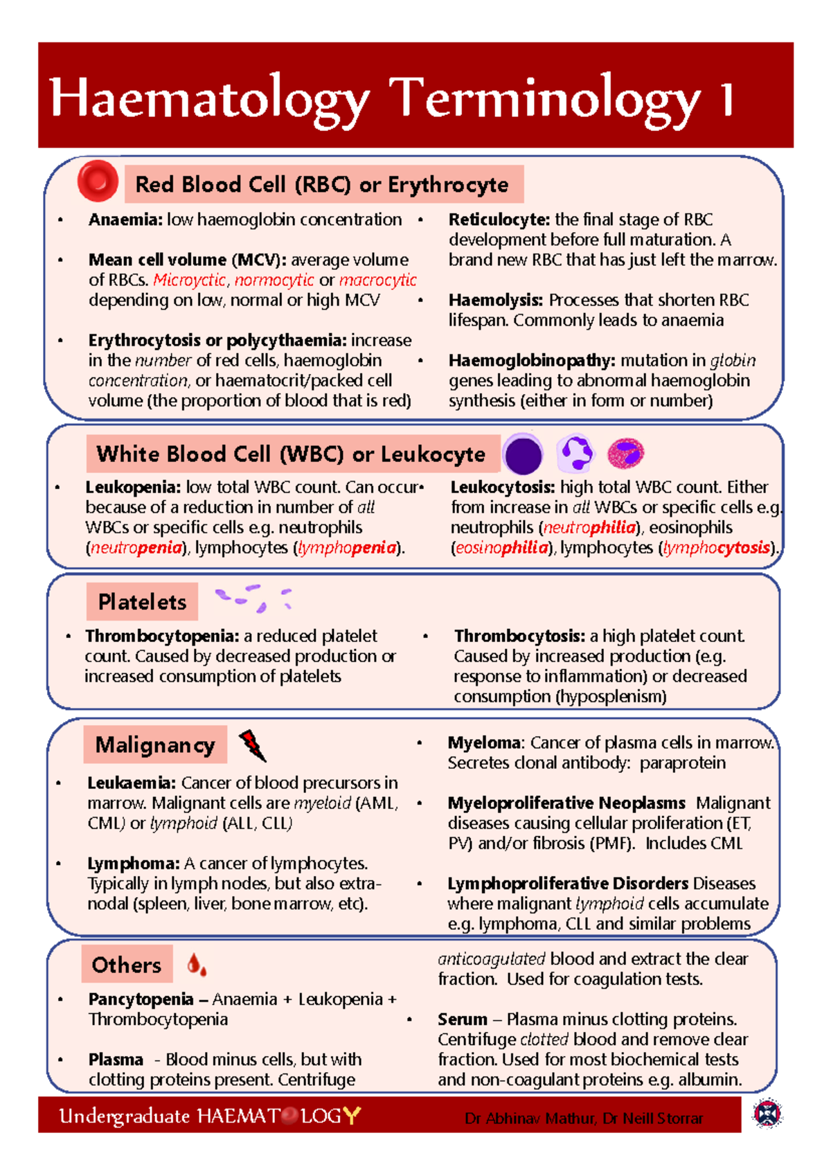Basic Haem Terms - Undergraduate HAEMAT LOG ...