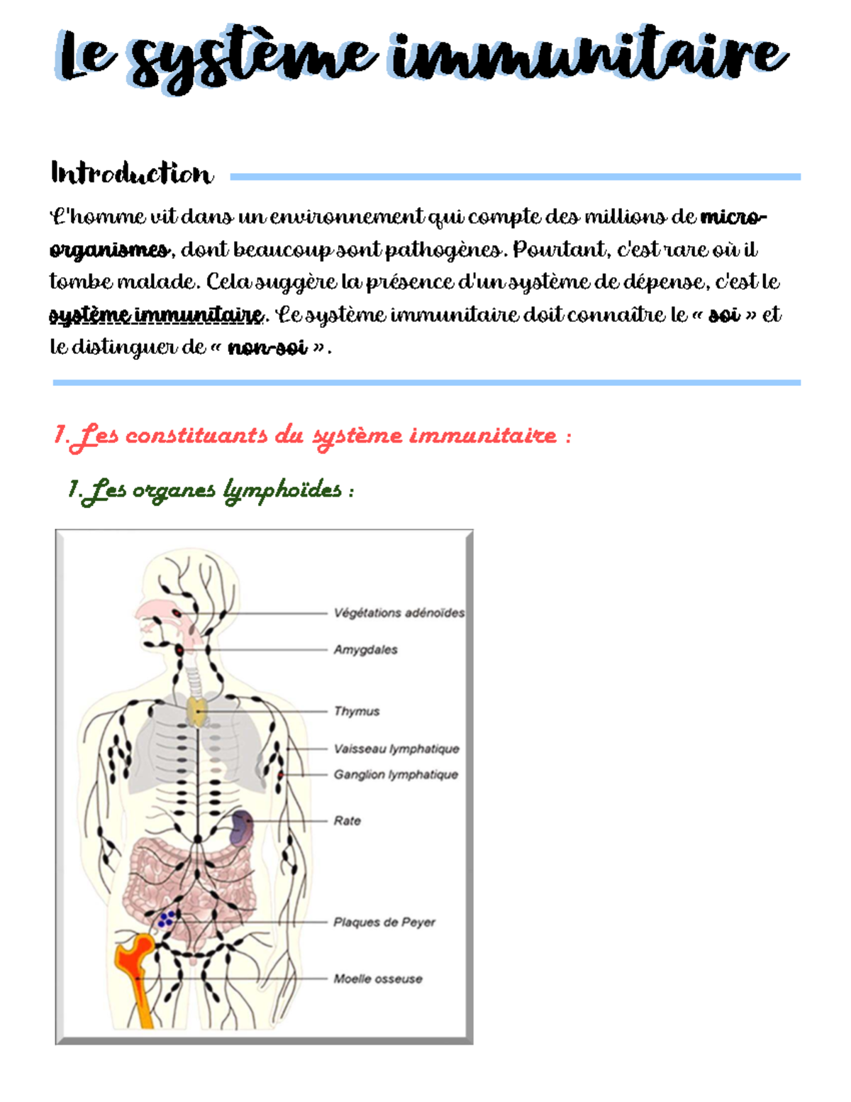 Système Immunitaire : Introduction et Fonctionnement (BIO101) - Studocu