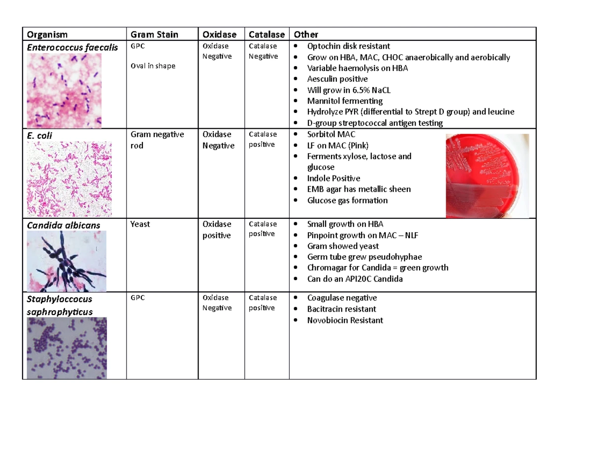 WEEK sem 2 - STUDY GUIDE and assessments - WEEK LECTURE TUT/LAB ...