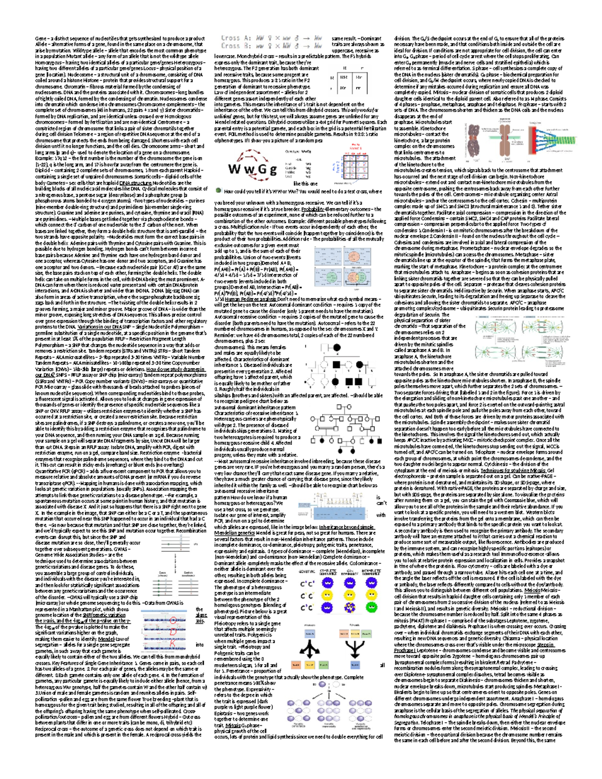 Genetics Test 1 Study Guide: Key Concepts and Terminology - Studocu