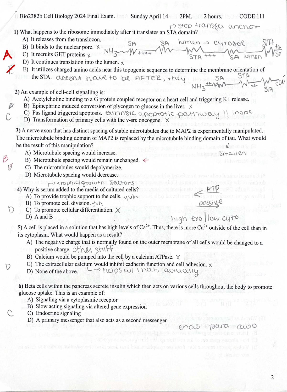 B102382b Cell Biology 2024 Final Exam Review Questions - Studocu