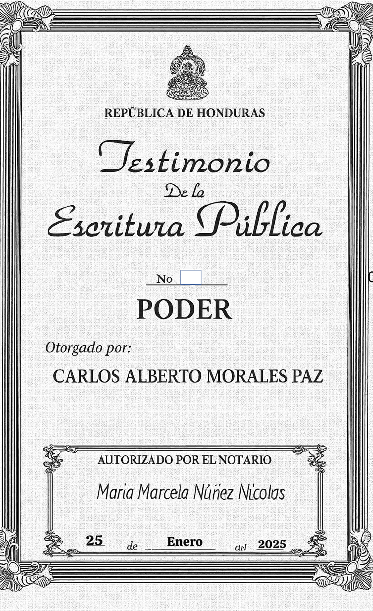Poder General para Pleitos - Testimonio Notarial (2025) - Studocu