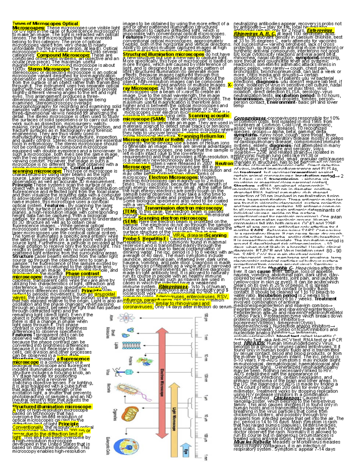 337190349 Microbe Mission Cheat Sheet docx - Types of Microscopes ...