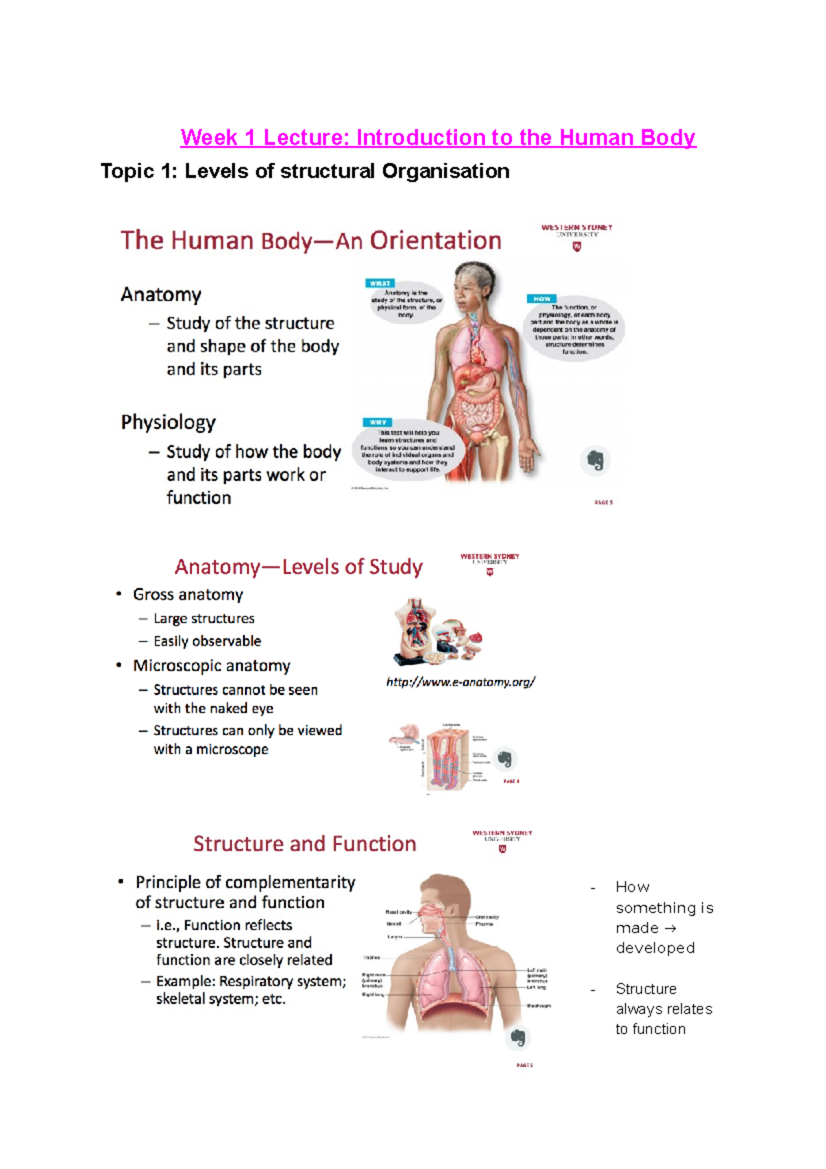Introduction to Human Biology: Week 1-3 Lecture Notes (BIO101) - Studocu