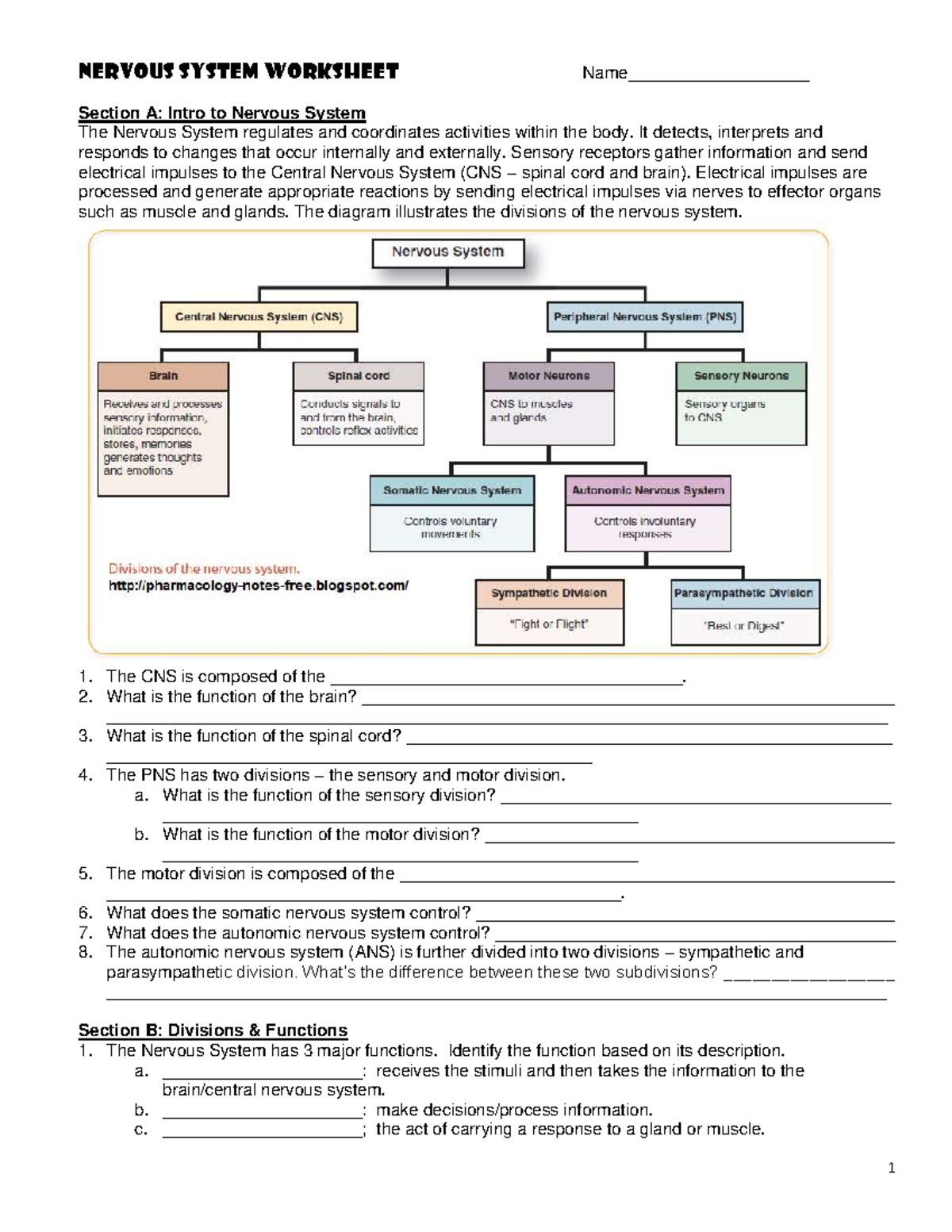 CNS & PNS Overview: Nervous System Functions Worksheet - Studocu