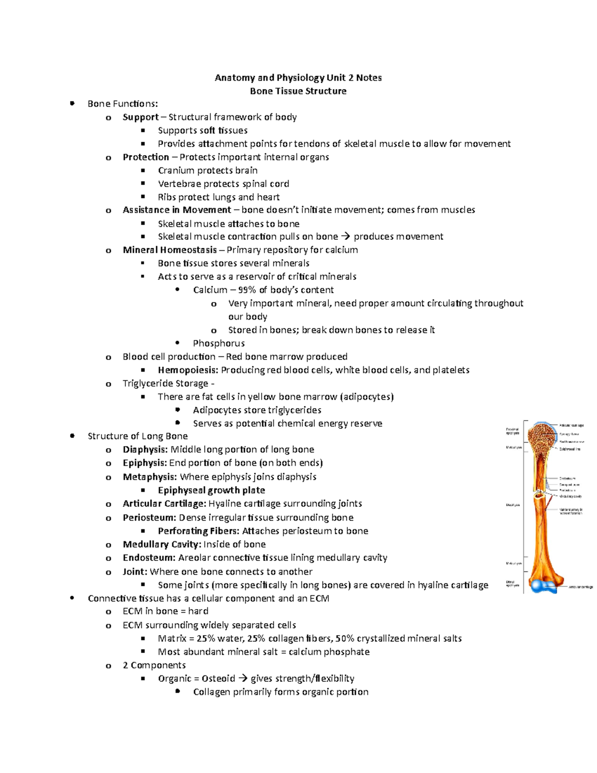 BIOL 430: Advanced Anatomy & Physiology I - Unit 2 Notes on Bones - Studocu