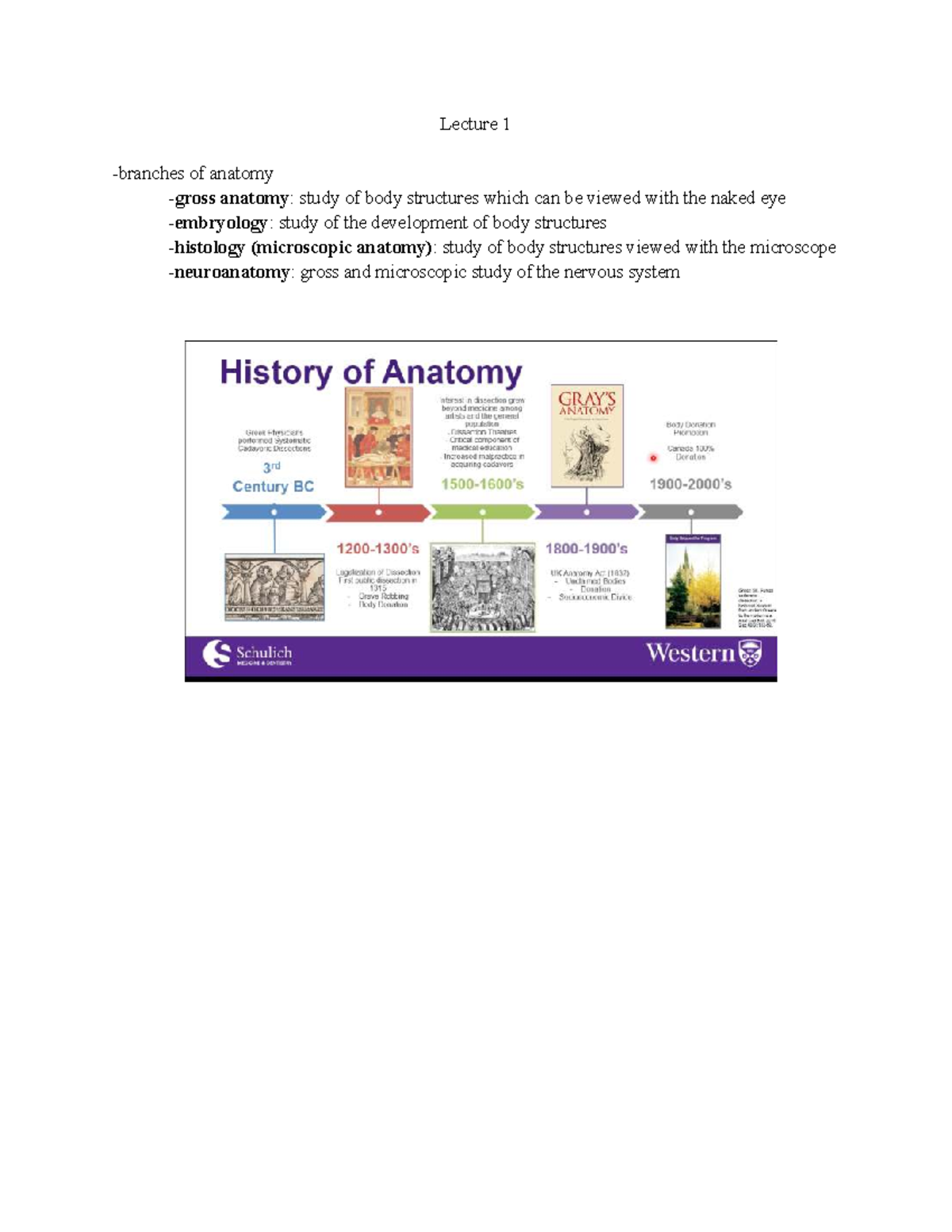 Lecture 1 - Systematic Anatomy Overview - 2200 - Lecture 1 -branches of ...